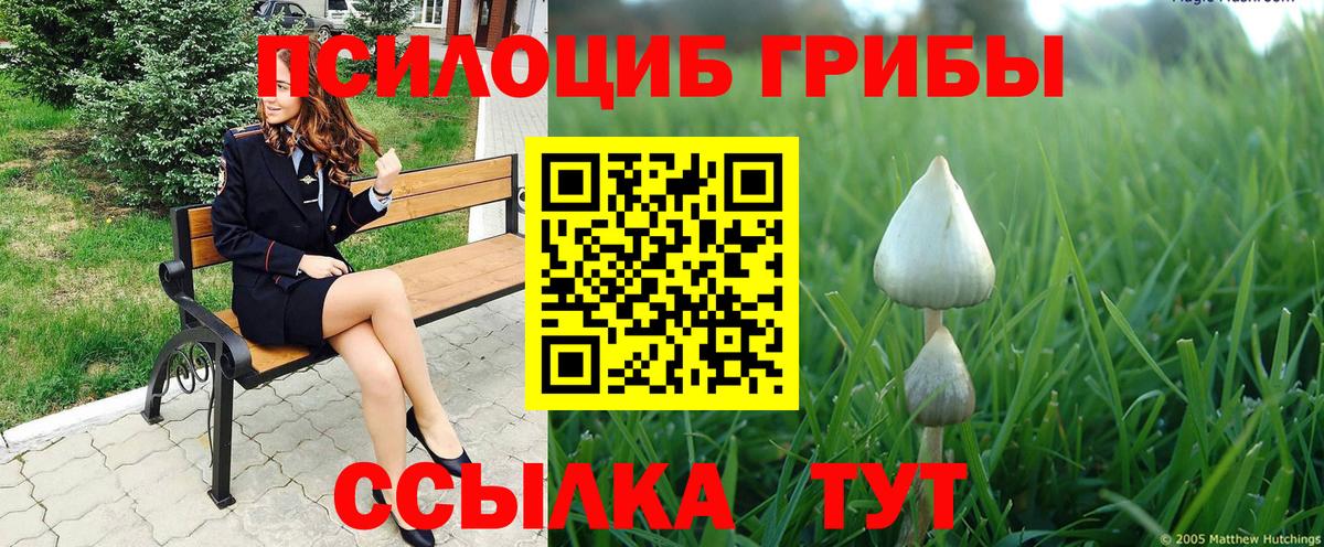 Черногорск  Псилоцибиновые грибы MAGIC MUSHROOMS  Вход с VPN 