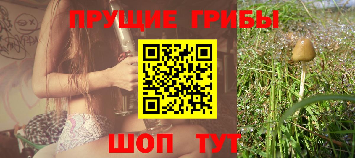 Галлюциногенные грибы Magic Shrooms Черногорск